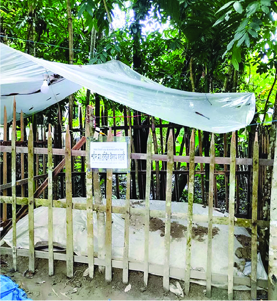 Image of মো: রবিউল ইসলাম